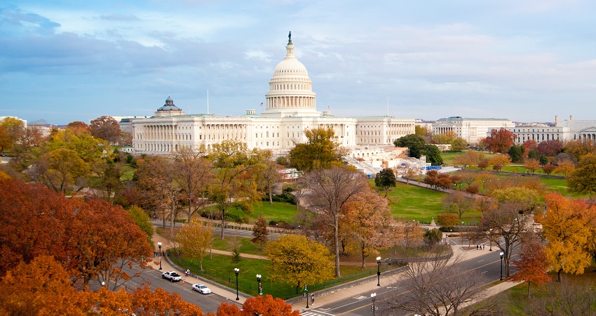 shutterstock_118555252_By Rena_Schild_lead