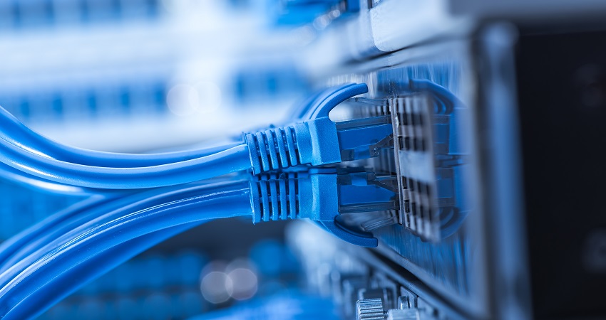 Copyrightasharkyu_newsroom