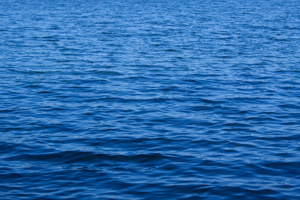 Water Close Up Copyright William Warner