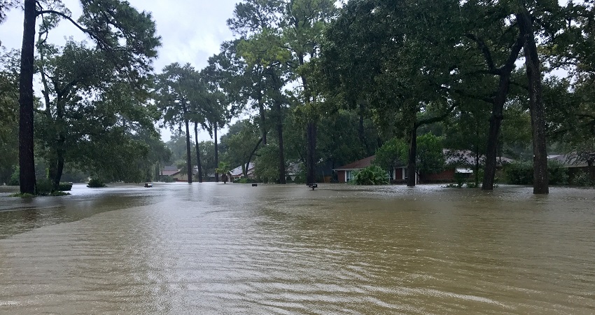 harvey flooding lead