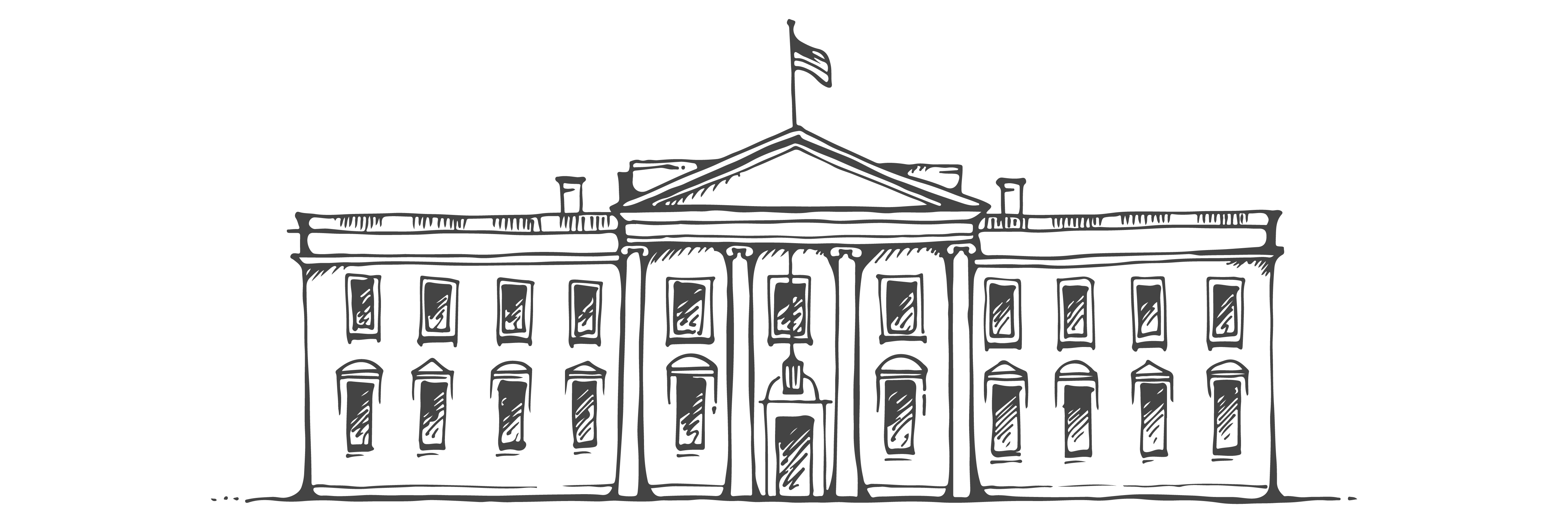 Election Update webinar