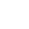 usa_icon